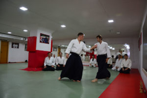 Aikido Beograd Seminar Pascal  04